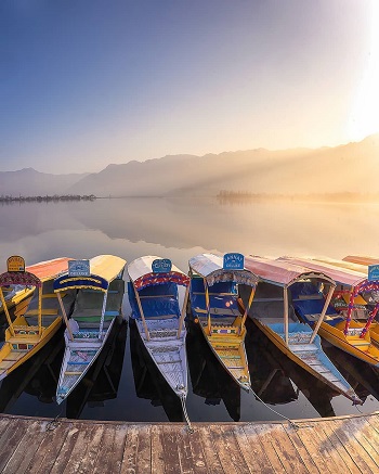Amazing Dal lake boat ride in kashmir